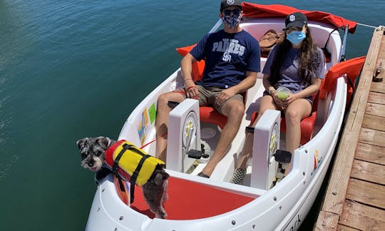 Dog friendly pedal boat activity in San Diego