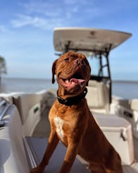 Excursions de croisière Sea Fox de 26 pieds 2021 à Charleston, en Caroline du Sud