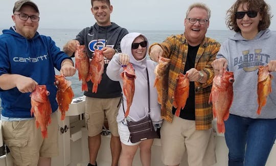 Carta de pesca em alto mar em Marina del Rey, Califórnia