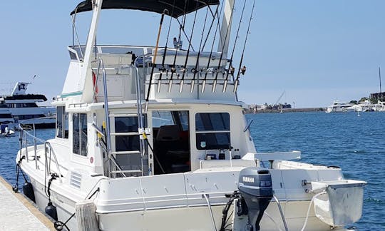 Carta de pesca em alto mar em Marina del Rey, Califórnia