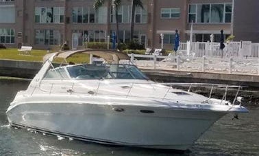 Sea Ray Sundancer 33' For Charter in Miami