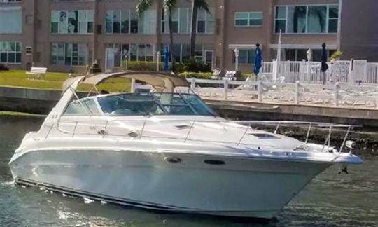Sea Ray Sundancer 33' For Charter in Miami