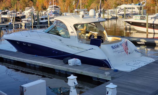 Passeios de 55 minutos do Sea Ray Sundancer no Rio Potomac
