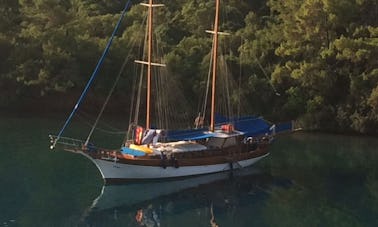 Croisière bleue privée à bord du Cruising Gulet DC de 65 pieds à Bodrum, en Turquie