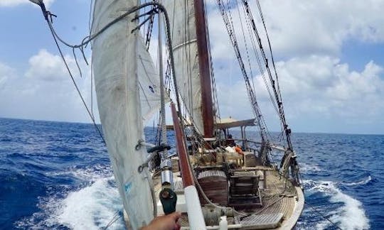 Alessandra, Pirate Boat Charter in Cartagena, Bolívar