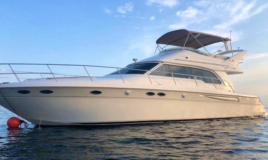 Luxurious SeaRay 50 Motor Yacht in Puerto Vallarta