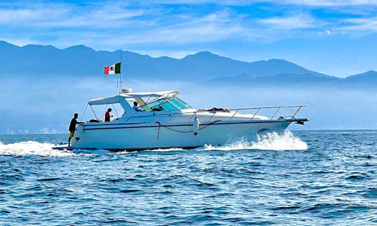 🛥️☀️ Stylish Tiara 42ft Yacht for Charter in Puerto Vallarta 