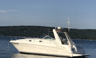 Barco Capitão Sea Ray Sundancer de 34 pés em Elk Rapids