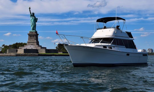 Private Boat Tours of NY Harbor and the Hudson River, Captain included