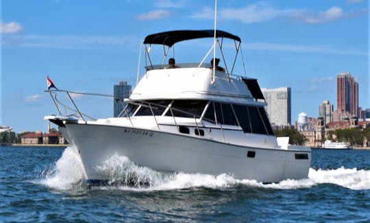 Private Boat Tours of NY Harbor and the Hudson River, Captain included