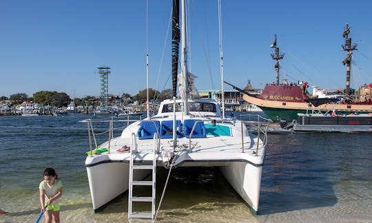 Charter privado de 4 horas em Destin, FL! Ilha do Caranguejo, mergulho com snorkel, golfinhos e muito mais!