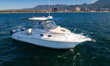 Catamarán Sport Kat Exclusivo