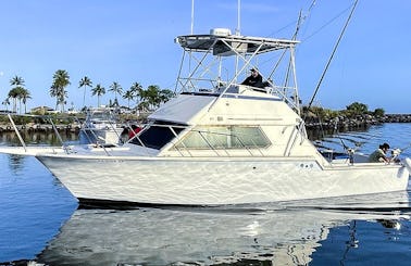 Hatteras Sportfisher 36' Fishing Charters, Snorkeling, Swim with Sharks and more in Haleiwa