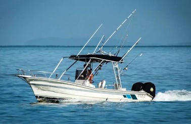 Inshore Fishing Charter for 4 People in Puerto Vallarta! Trip includes Fishing Equipment, Cooler, Live Bait, Captain and Fishing License!