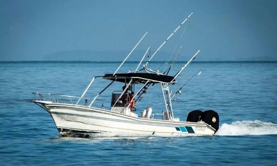 Inshore Fishing Charter for 4 People in Puerto Vallarta! Trip includes Fishing Equipment, Cooler, Live Bait, Captain and Fishing License!