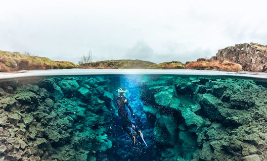 Silfra Snorkeling - Between continents, Iceland - and combo tours | Free Underwater Photos