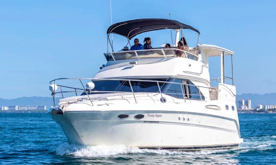 40' Sea Ray Motor Yacht Charter in Puerto Vallarta