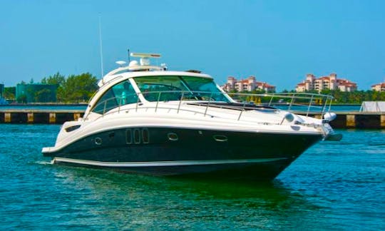 Rent a Luxury Yachting Experience! 50' SeaRay