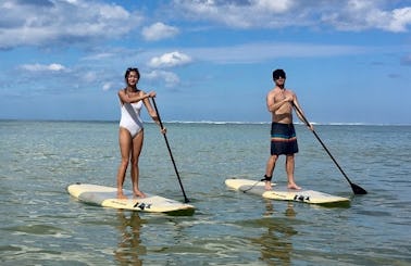 Stand Up Paddleboard Rentals in Kilauea Hawaii
