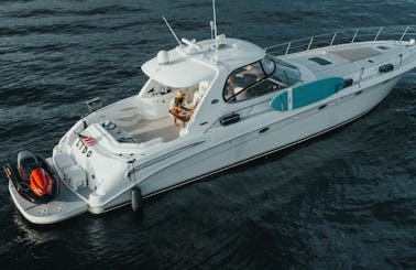 St. Patrick's Day Cruise - 60ft Top Rated, 5 Stars, Entertainer's Dream Yacht on Lake Washington