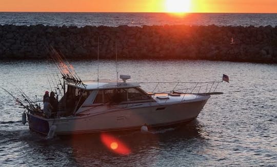 Book an Enjoyable Fishing Charters on Lake Michigan with Us!