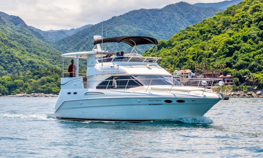 40' Sea Ray Motor Yacht Charter in Puerto Vallarta
