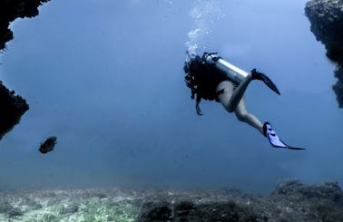 Discover Scuba Diving Tour in Puerto Vallarta - For Beginners