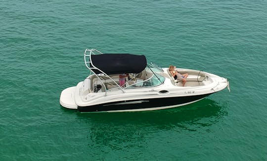 SUN DECK 26' FINAL PRICE NO HIDDEN FEES 1H FREE ON WEEK DAYS, NOW WITH RESTROOM