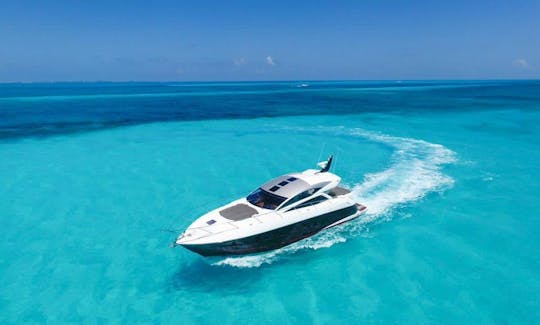 5 ⭐️ SUNSEEKER 64' Visita Isla Mujeres