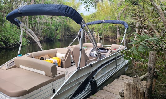 Luxury Pontoon with Captain - Jupiter, Hobe Sound, Peanut Island Pet Friendly