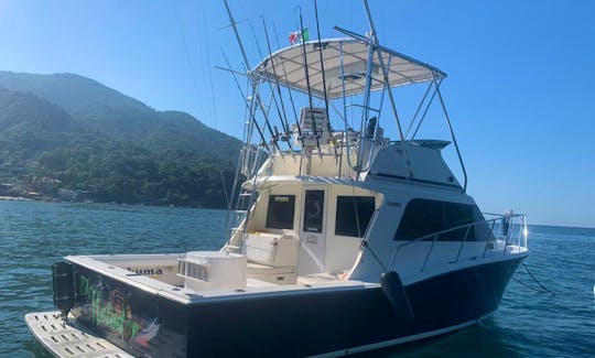 Power Fishing Boat Cabo 35 with Professional Equipment in Puerto Vallarta