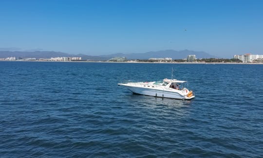 Enjoy ' Yacht  Sea Ray 46 ft Charter in Puerto Vallarta, Jalisco