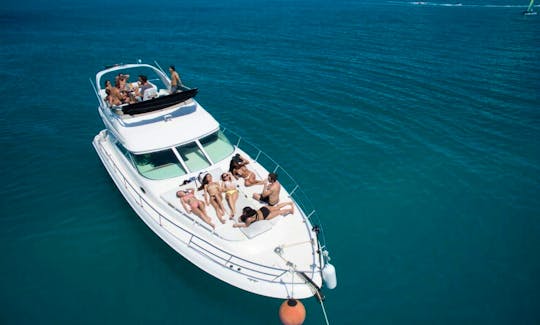 Amazing Boat For Rent In Cancun - Searay 40ft Flybridge