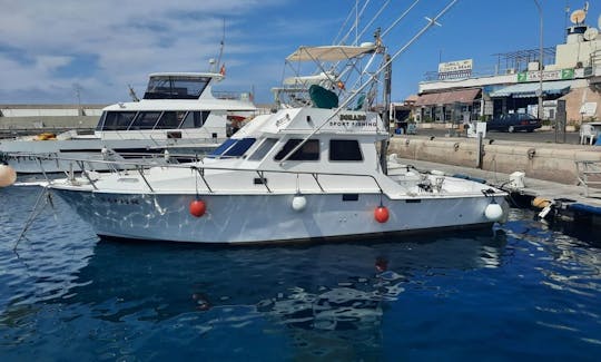 グランカナリア島プエルトリコでのスポーツフィッシングチャーター