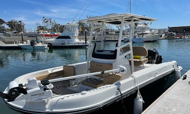 20' Bayliner Trophy in Newport Beach and Dana point