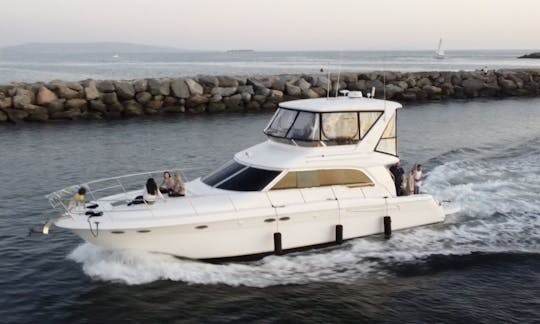 Iate SeaRay-480 para alugar em Marina del Rey (Sunset Cruises)