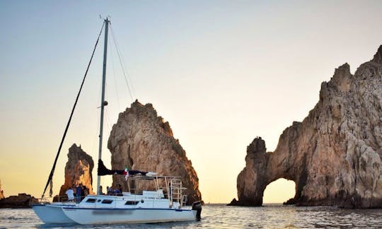 Private Charter on a 38ft Cruising Catamaran for Up to 35 People in Cabo San Lucas, Mexico