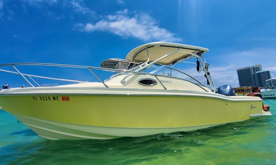 Fun in the Sun, Sandbar Ready - Scout Abaco 242 Boat!