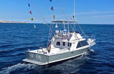 Go Fishing With Friends in Cabo San Lucas, Mexico on Sport Fisherman