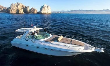 Yate privado con todo incluido de 55 pies Sea Ray Cabo San Lucas, México