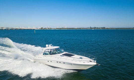 Espaçoso iate a motor Sea Ray Sundancer de 54 pés no centro de Miami/Miami