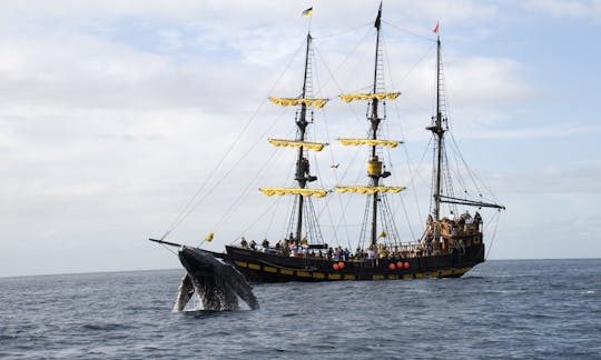 Whale Watching & Breakfast Pirate Cruise (DEC 15TH-APRIL15TH)