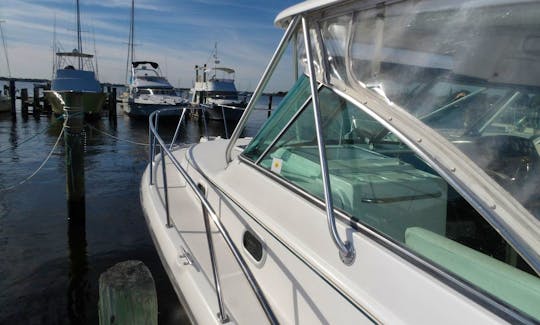 Pursuit 34' Express for Fishing Trips