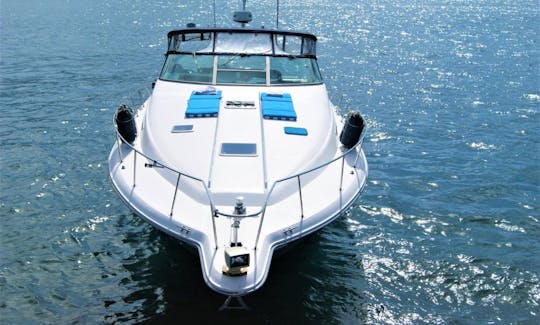 Enjoy Yacht Sea Ray 42ft Charter in Puerto Vallarta, Jalisco