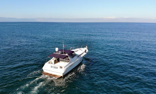 Enjoy Yacht Sea Ray 42ft Charter in Puerto Vallarta, Jalisco