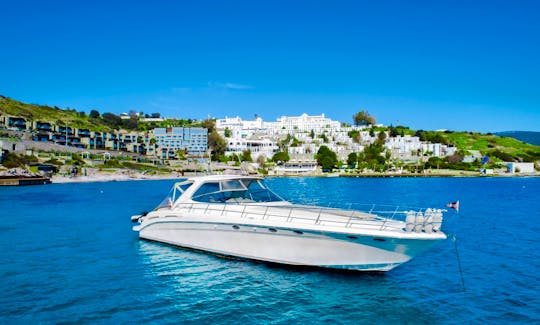 Sea Ray Luxury Motor Yacht! Relax in style in Muğla