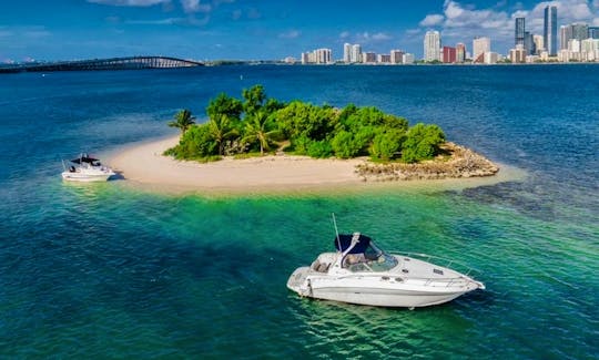 Cruise with us on our 32' Sea Ray Sundancer in Miami