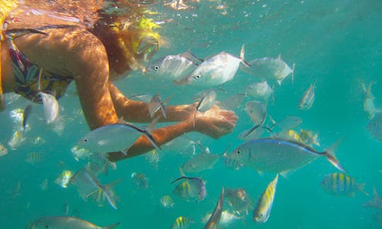 Excursion d'une demi-journée en hors-bord à Punta Cana, La Altagracia