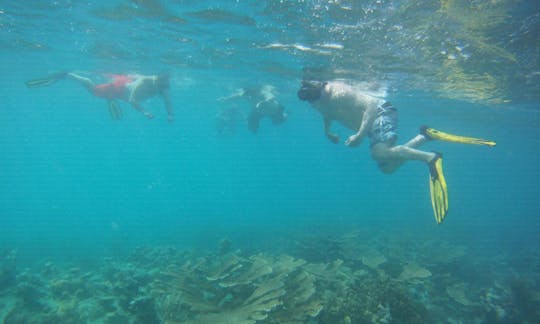 La Parguera Island and Snorkeling Tour, Lajas PR