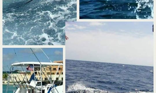 Deep Sea Fishing Private Yacht Charter From Punta Cana